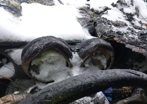 2005 Mini Cooper S из США, поврежденный, VIN WMWRE33575TL14541